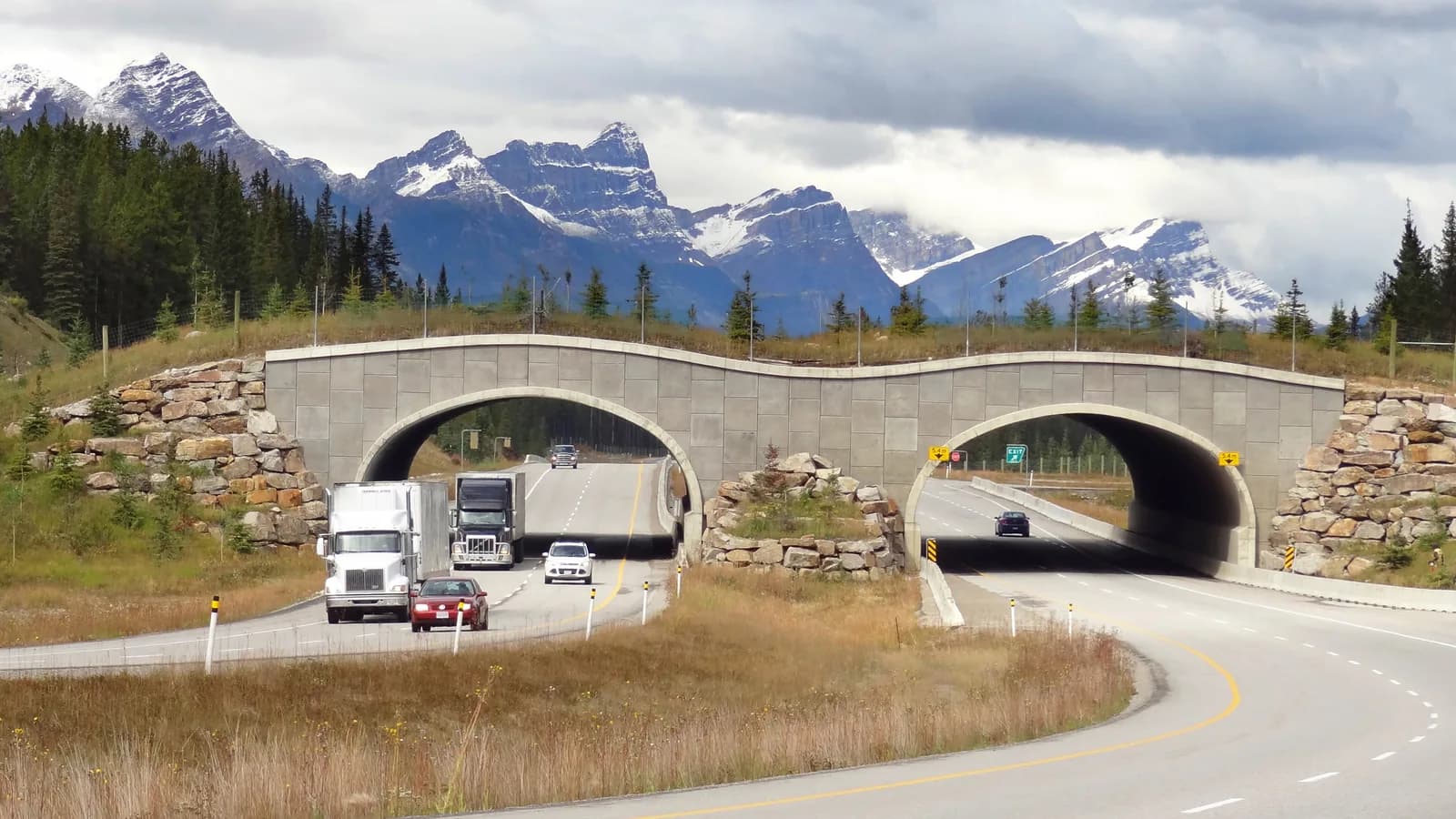 A vegetated wildlife overpass spanning both carriageways of the Trans-Canada Highway near Banff, Alberta