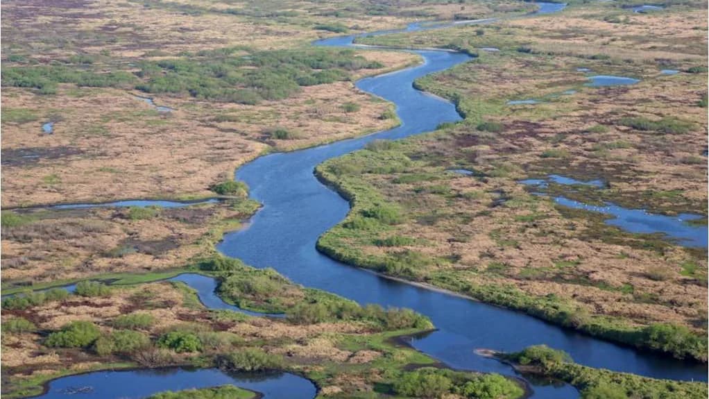 A meandering river channel and wetland vegetation in the Kissimmee River Phase I restoration area
